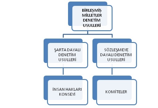 Birleşmiş Milletler Denetim Usulleri