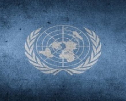 Birleşmiş Milletler Şartı Organları